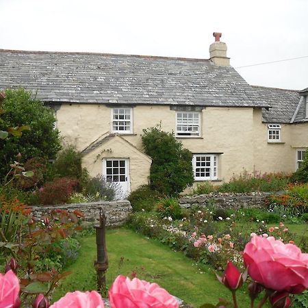 Higher Tresmorn Farm Bed & Breakfast Crackington Haven ภายนอก รูปภาพ